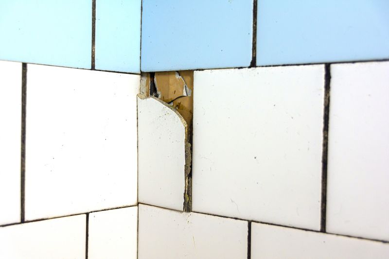 Replacing Damaged Tiles